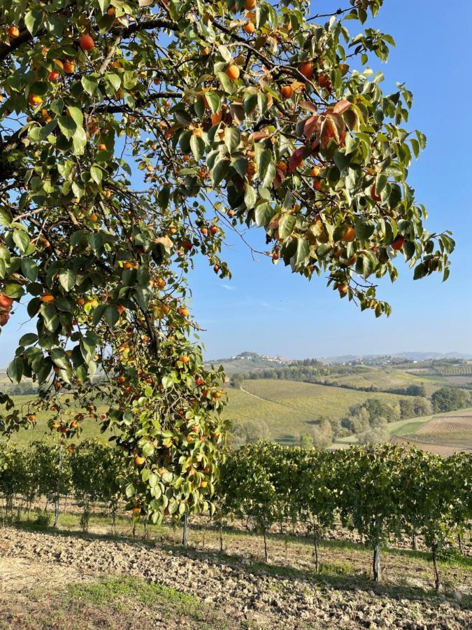 Apartamento Locazione Turistica Cascina Pela Castagnole delle Lanze Exterior foto