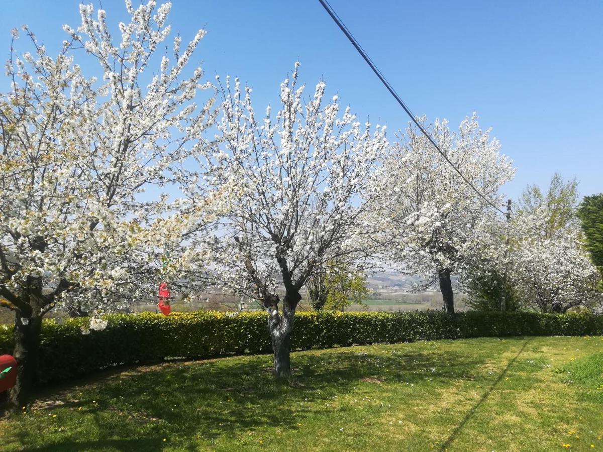 Apartamento Locazione Turistica Cascina Pela Castagnole delle Lanze Exterior foto